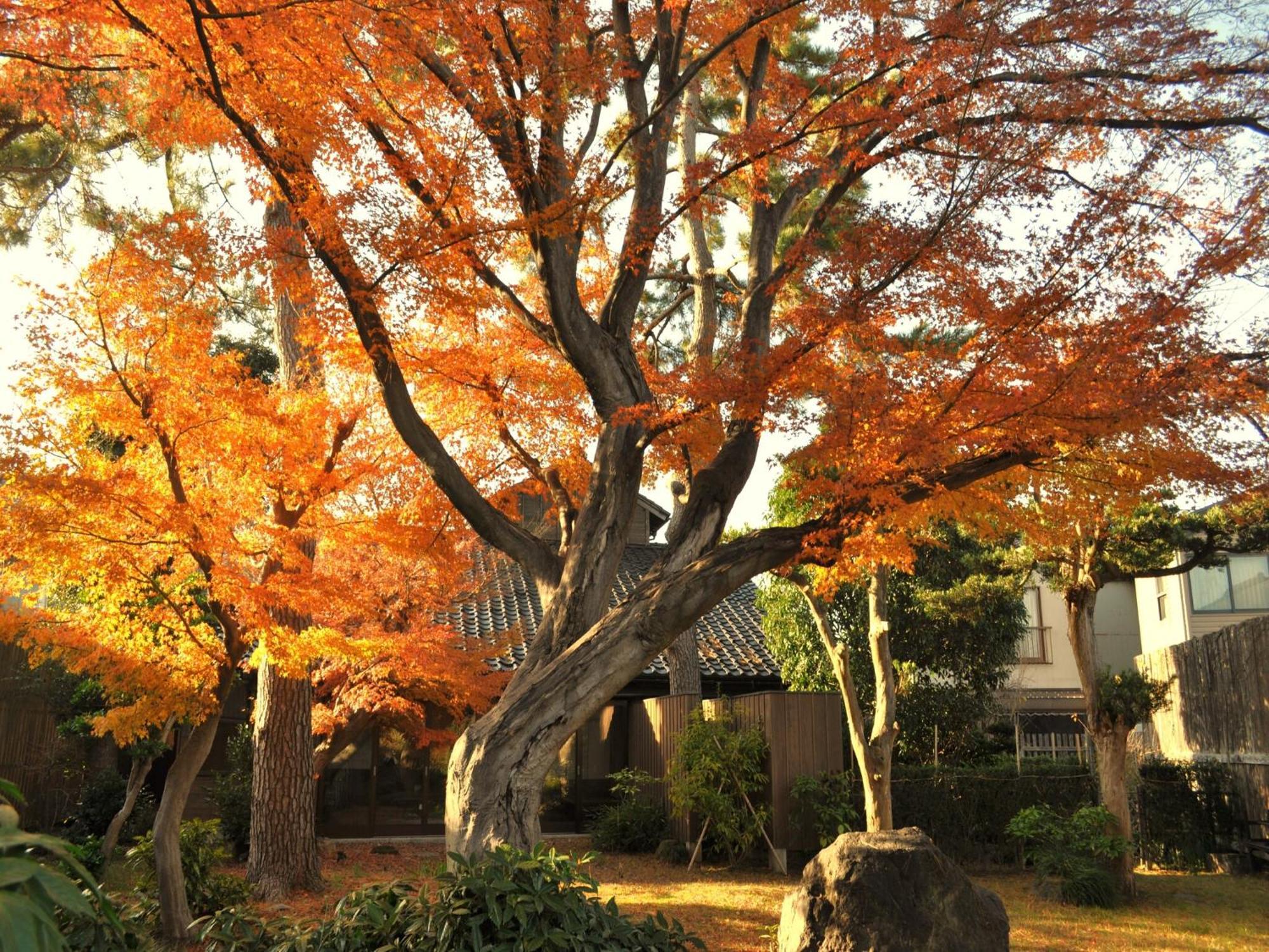 Machi No Odoriba Hotell Kanazawa Eksteriør bilde