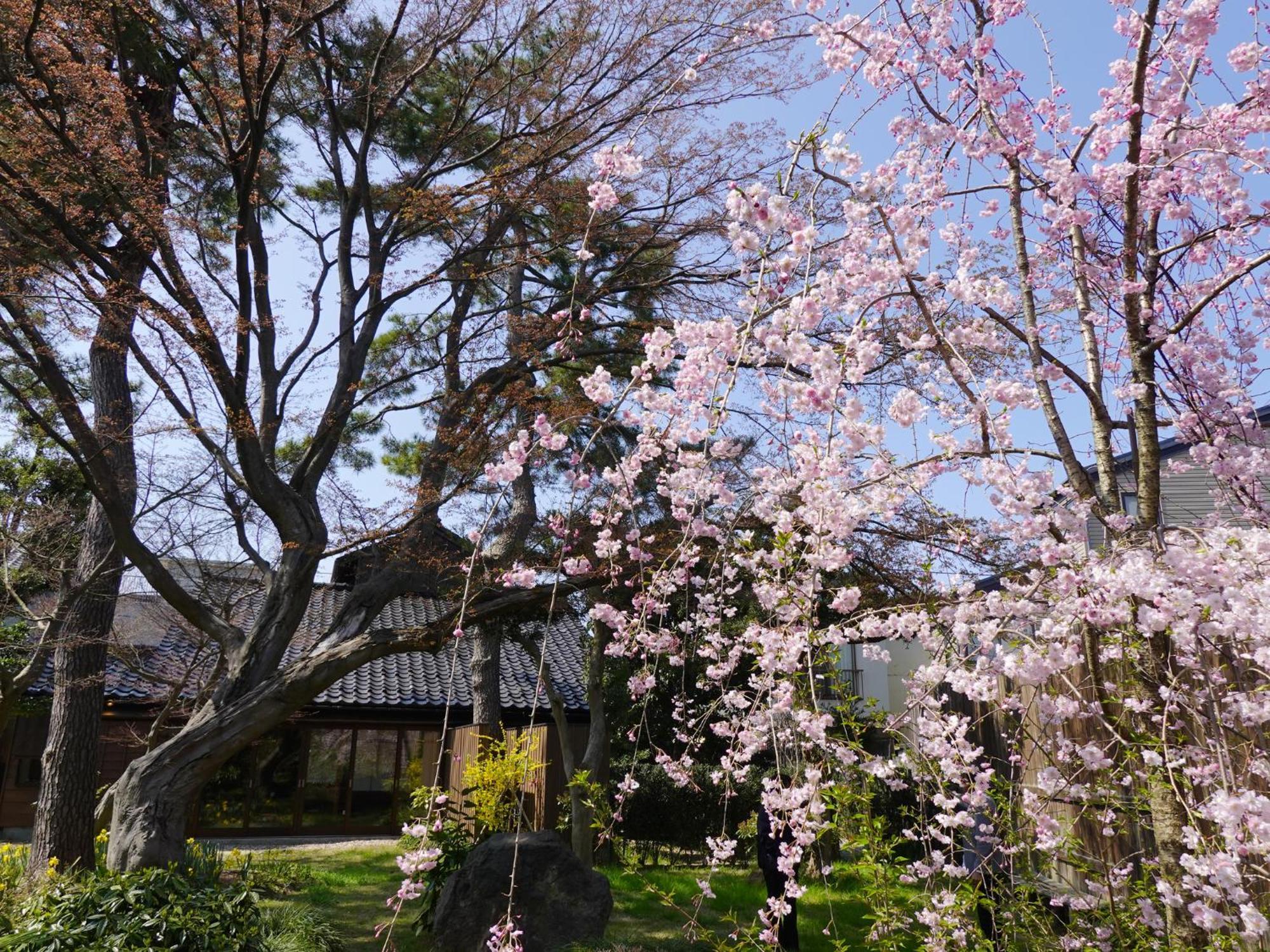 Machi No Odoriba Hotell Kanazawa Eksteriør bilde